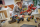 LEGO® NINJAGO - Wüstensegler