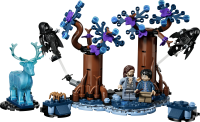 LEGO® Harry Potter™ - Verbotener Wald: Expecto...