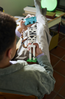LEGO® Minecraft™ - Das Skelett