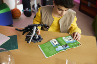 LEGO® Minecraft™ - Der Enderdrache