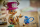 LEGO® ONE PIECE - Tony Tony Chopper