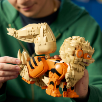 LEGO® Pokémon - Arkani