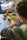 LEGO® Technic - Mächtige Maschinen