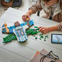 LEGO® Editions - Lionel Messi – Torjubel