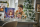 LEGO® Star Wars TM - Adventskalender 2026