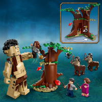 LEGO&reg; Harry Potter&trade; - Der Verbotene Wald: Begegnung mit Umbridge