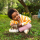 Schleich Wild Life Afrikanischer Elefantenbulle