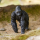 Schleich Wild Life Gorilla M&auml;nnchen
