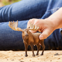 Schleich Wild Life Elch Bulle