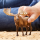 Schleich Wild Life Elch Bulle