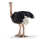 Schleich Wild Life Angriff der Hy&auml;ne