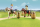 Playmobil Spirit - Abenteuer im Freien